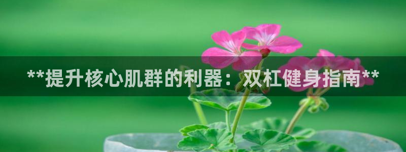 欧陆娱乐信誉如何：**提升核心肌群的利器：双杠健身指