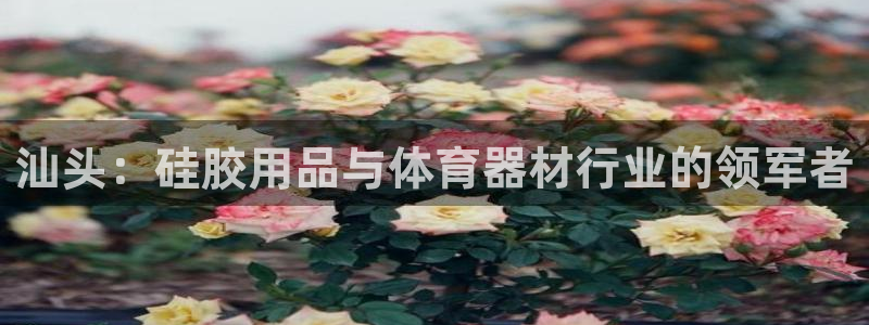 欧陆娱乐公司产品介绍怎么写：汕头：硅胶用品与体育器材
