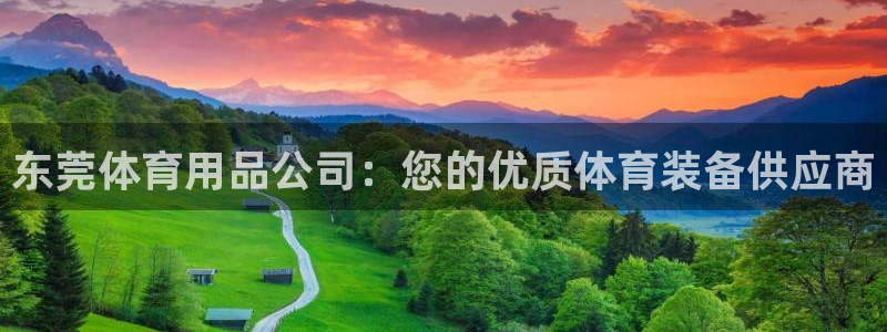 欧陆娱乐测速：东莞体育用品公司：您的优质体育装备供应