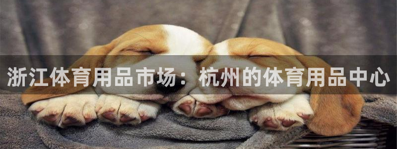 欧陆娱乐平台登陆地址在哪里：浙江体育用品市场：杭州的