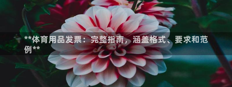 欧陆娱乐是正规平台吗安全吗可靠吗知乎：**体育用品发