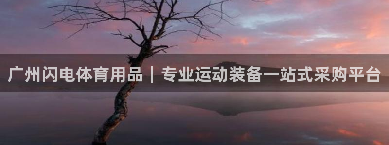 欧陆娱乐app下载：广州闪电体育用品｜专业运动装备一
