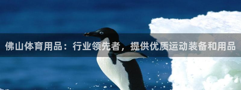 欧陆娱乐登陆平台官网：佛山体育用品：行业领先者，提供