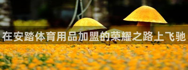 欧陆娱乐代理 贴吧官网：在安踏体育用品加盟的荣耀之路