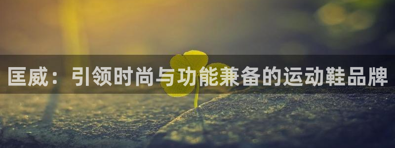 欧陆娱乐官方：匡威：引领时尚与功能兼备的运动鞋品牌
