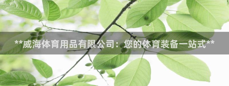 欧陆娱乐怎么注册会员号：**威海体育用品有限公司：您