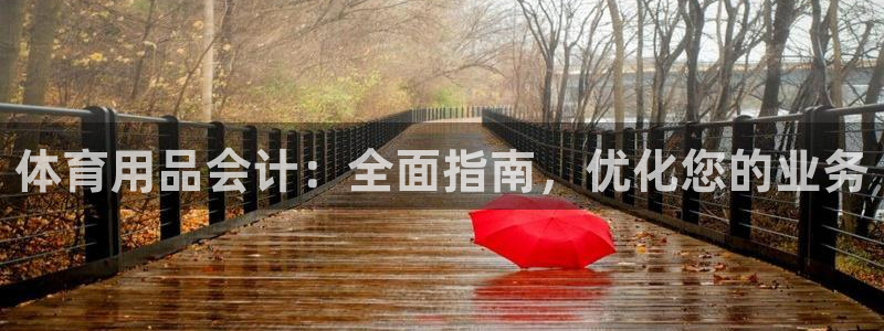 欧陆娱乐怎么注册账号登录：体育用品会计：全面指南，优