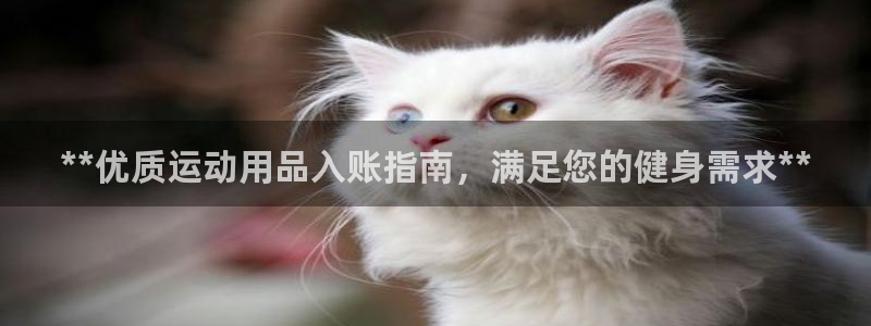 欧陆娱乐打什么方案赚钱：**优质运动用品入账指南，满