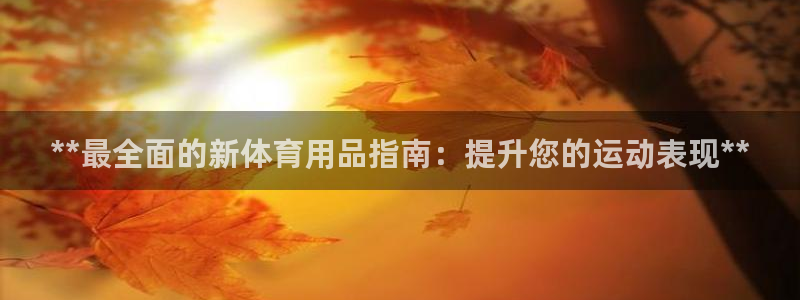 欧陆官网下载：**最全面的新体育用品指南：提升您的运