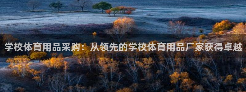 欧陆娱乐官网下载安装：学校体育用品采购：从领先的学校