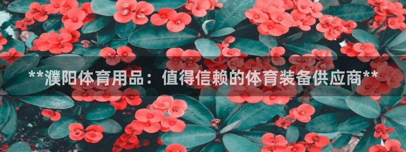 欧陆娱乐登录平台下载：**濮阳体育用品：值得信赖的体