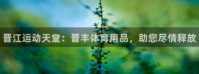 欧陆娱乐测试官网：晋江运动天堂：晋丰体育用品，助您尽