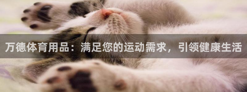 欧陆娱乐是正规平台吗安全吗：万德体育用品：满足您的运