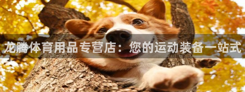 欧陆娱乐官网首页入口：龙腾体育用品专营店：您的运动装