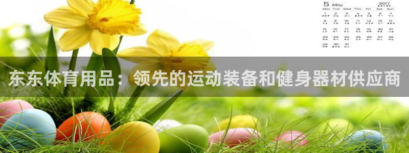 欧陆娱乐是干什么的：东东体育用品：领先的运动装备和健