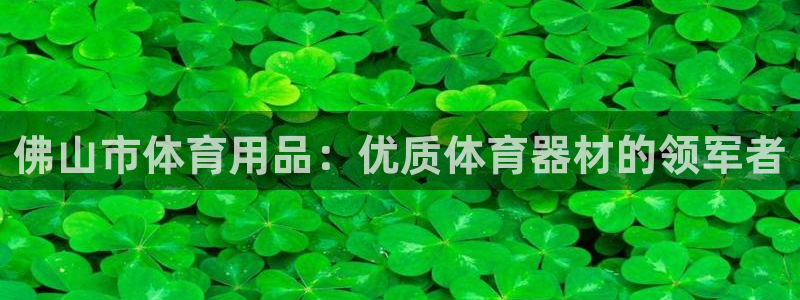 欧陆娱乐官网下载安装苹果：佛山市体育用品：优质体育器