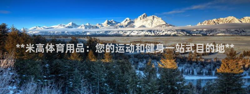 欧陆娱乐有限公司官网：**米高体育用品：您的运动和健