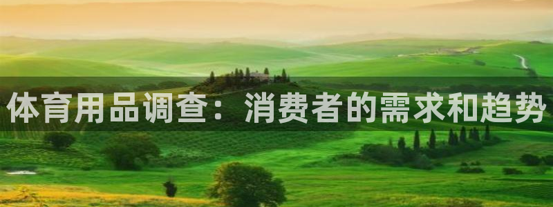 欧陆娱乐登录平台官网：体育用品调查：消费者的需求和趋