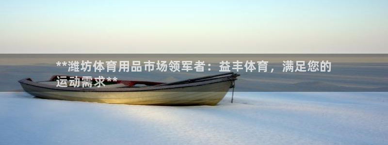 欧陆娱乐注册链接安全吗：**潍坊体育用品市场领军者：