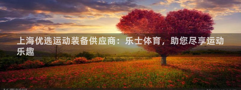 欧陆娱乐能赚钱吗知乎：上海优选运动装备供应商：乐士体