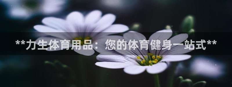 欧陆娱乐app下载：**力生体育用品：您的体育健身一