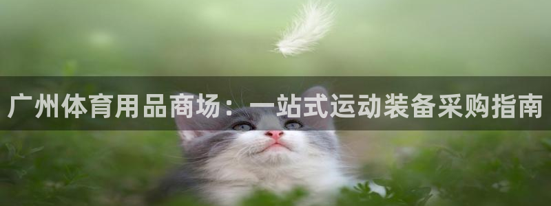 欧陆娱乐app攻略下载：广州体育用品商场：一站式运动