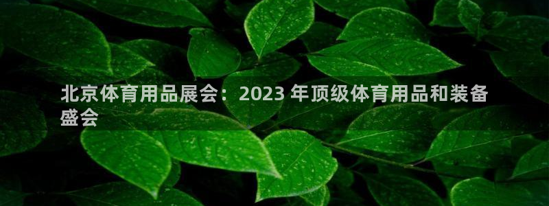 欧陆娱乐登陆官网下载：北京体育用品展会：2023 年