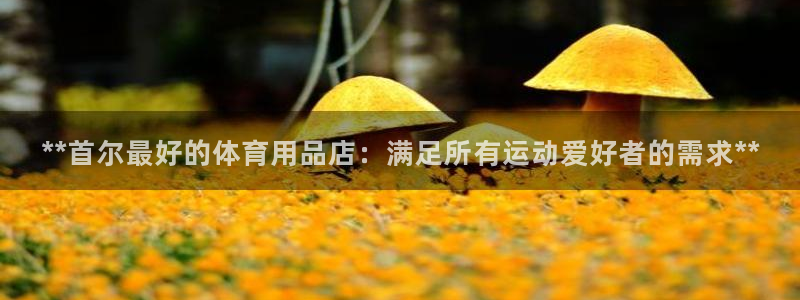 欧陆娱乐太阳：**首尔最好的体育用品店：满足所有运动