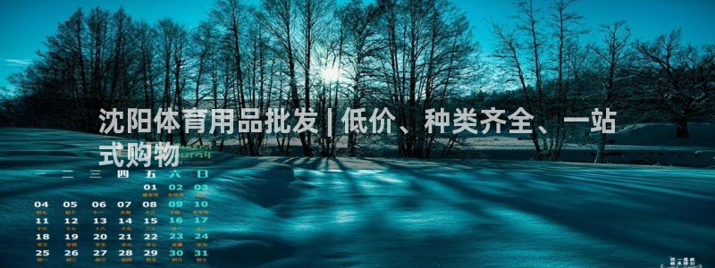欧陆娱乐客服：沈阳体育用品批发 | 低价、种类齐全、