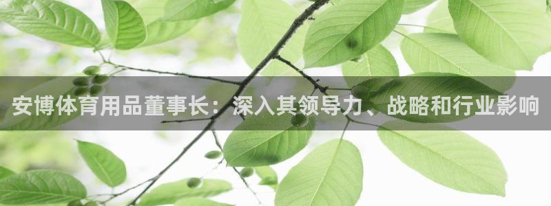 欧陆娱乐怎么注册账号：安博体育用品董事长：深入其领导