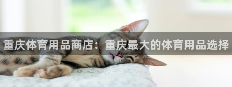 欧陆娱乐测试网站：重庆体育用品商店：重庆最大的体育用