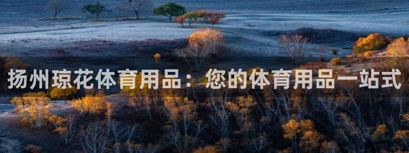 欧陆娱乐计划app官方正版安装下载：扬州琼花体育用品