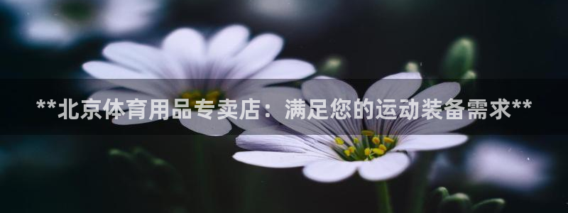 欧陆娱乐app攻略：**北京体育用品专卖店：满足您的