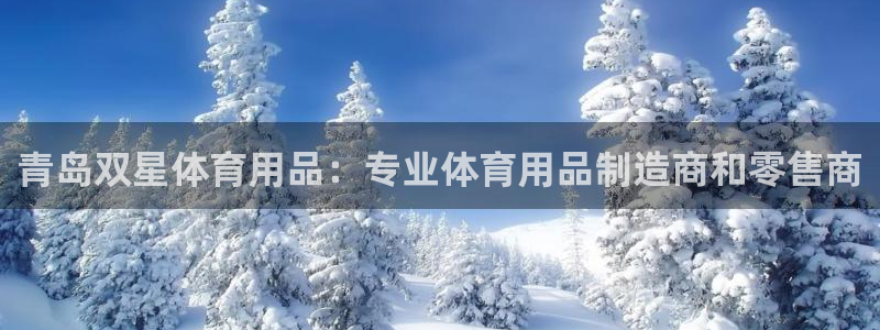 欧陆娱乐平台登录不上去了：青岛双星体育用品：专业体育