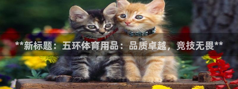 欧陆娱乐是干什么的：**新标题：五环体育用品：品质卓