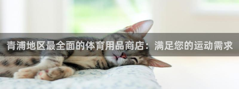 欧陆娱乐登陆官网：青浦地区最全面的体育用品商店：满足
