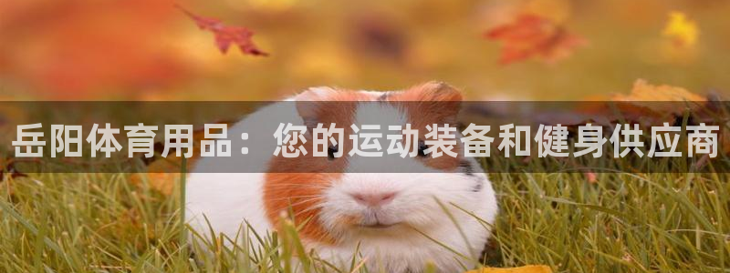 欧陆娱乐挂机怎么玩的：岳阳体育用品：您的运动装备和健