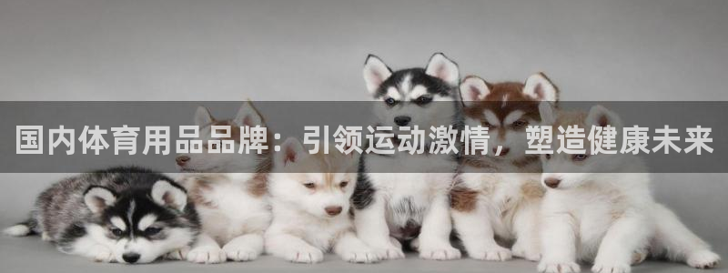 欧陆娱乐能提现嘛安全吗：国内体育用品品牌：引领运动激