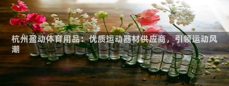 欧陆娱乐登陆官网下载：杭州盈动体育用品：优质运动器材