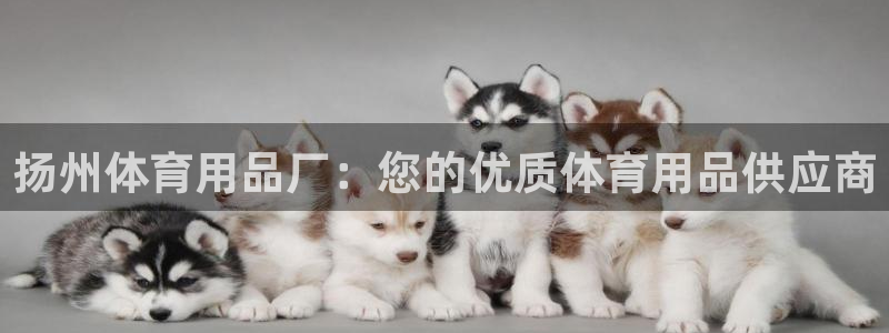 欧陆娱乐的故事：扬州体育用品厂：您的优质体育用品供应