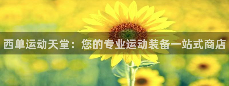 欧陆娱乐总代理：西单运动天堂：您的专业运动装备一站式