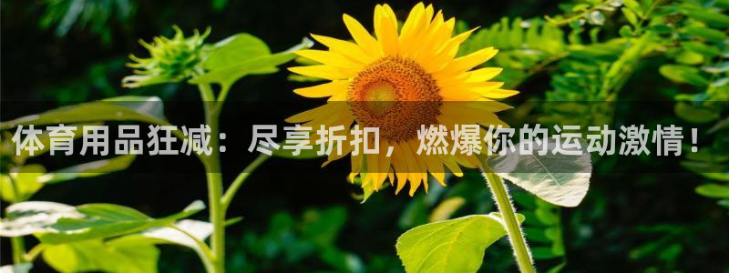 欧陆娱乐平台登录不上去怎么办：体育用品狂减：尽享折扣