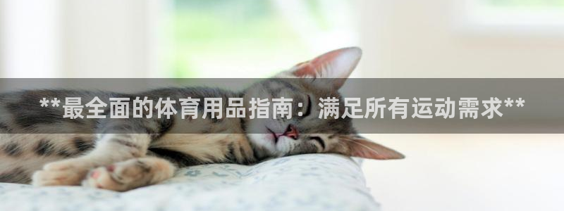 欧陆是什么平台：**最全面的体育用品指南：满足所有运