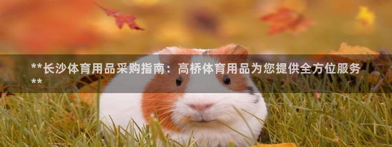 欧陆娱乐平台登录：**长沙体育用品采购指南：高桥体育