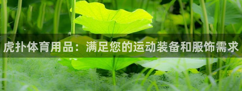 欧陆娱乐平台登录不上怎么回事：虎扑体育用品：满足您的