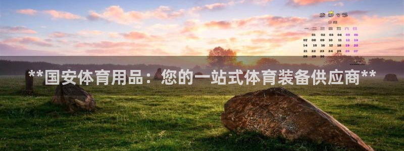 欧陆娱乐不让提现怎么办：**国安体育用品：您的一站式