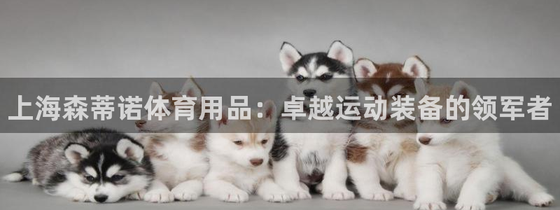 欧陆娱乐登录测速网站：上海森蒂诺体育用品：卓越运动装