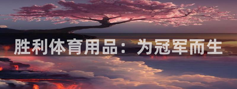 欧陆娱乐总代理：胜利体育用品：为冠军而生