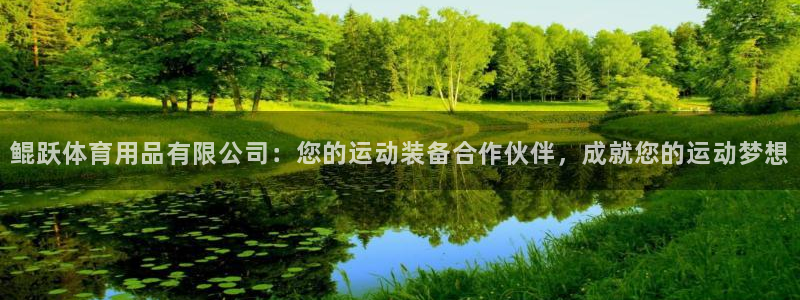 欧陆平台：鲲跃体育用品有限公司：您的运动装备合作伙伴