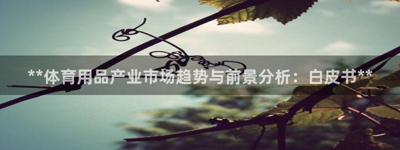 欧陆娱乐挂机项目怎么设置：**体育用品产业市场趋势与